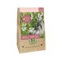 Bloembollen tas Blooming Summer Sofie (voor 1 m2)